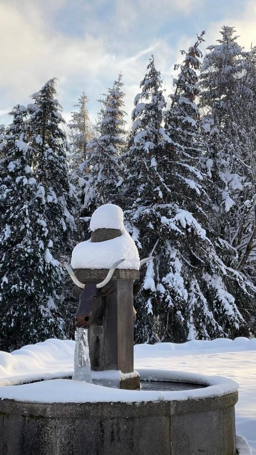 Auberge Du Cezallier Montgreleix エクステリア 写真